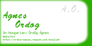 agnes ordog business card